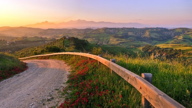 Dirt Road with Wooden Railing — Green