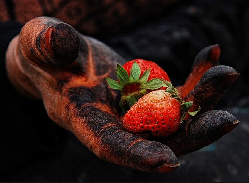 Dirty Hand Holding Strawberries