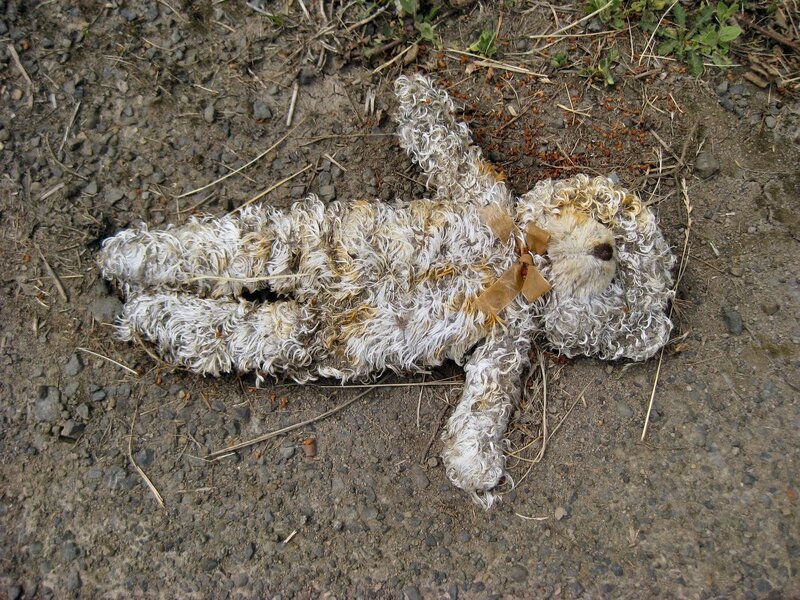 Dirty Teddy Bear