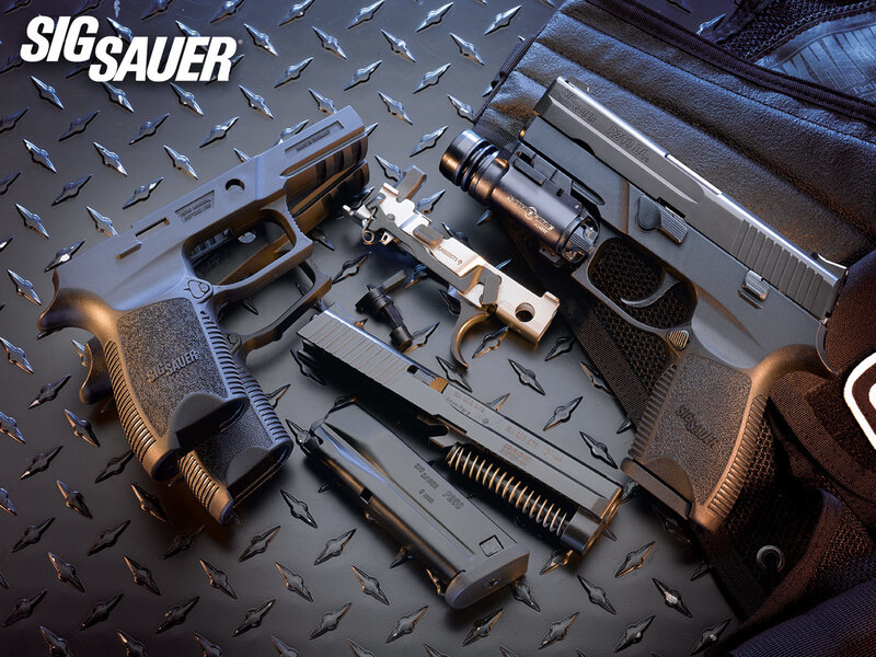 Disassembled Pistols