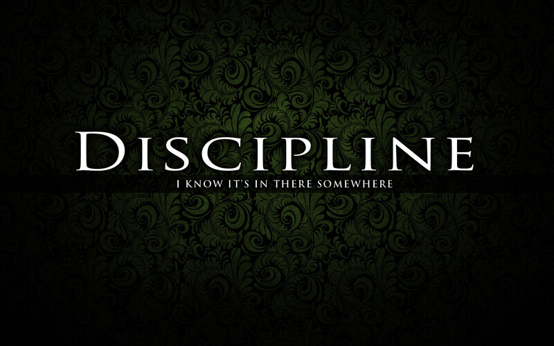 Discipline album cover