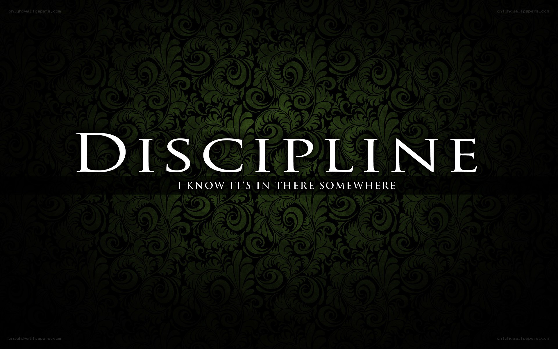 Discipline album cover