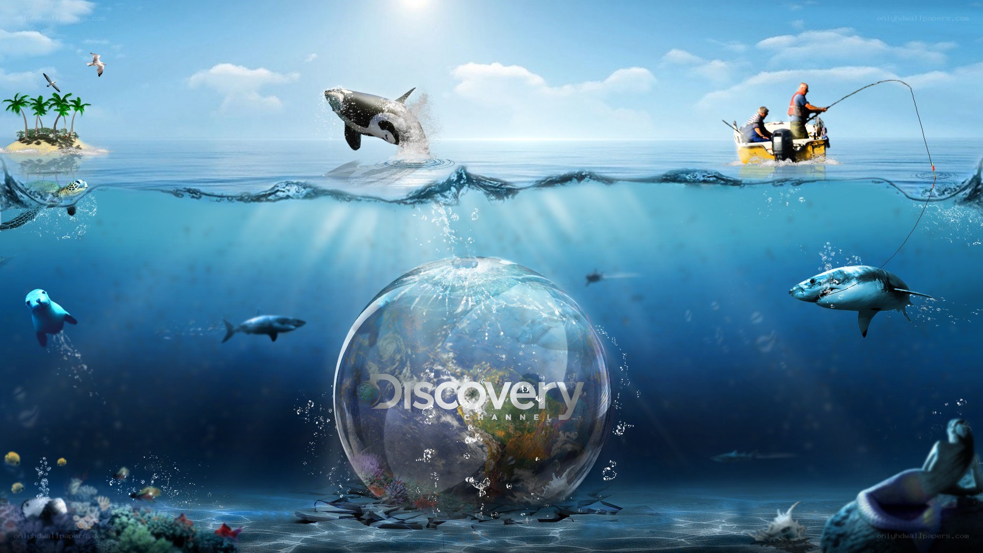 Discovery Channel underwater scene