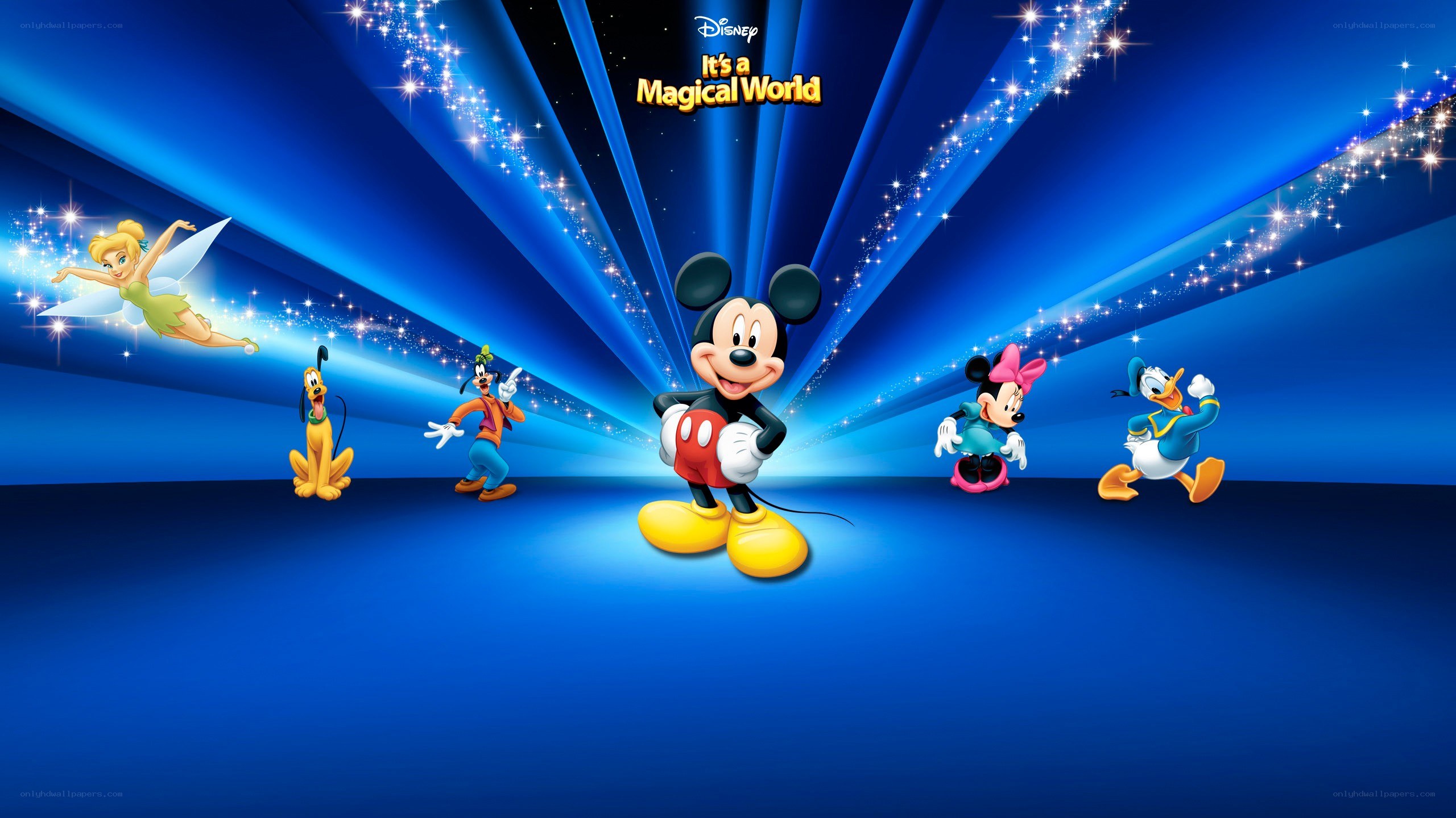 Disney magical world