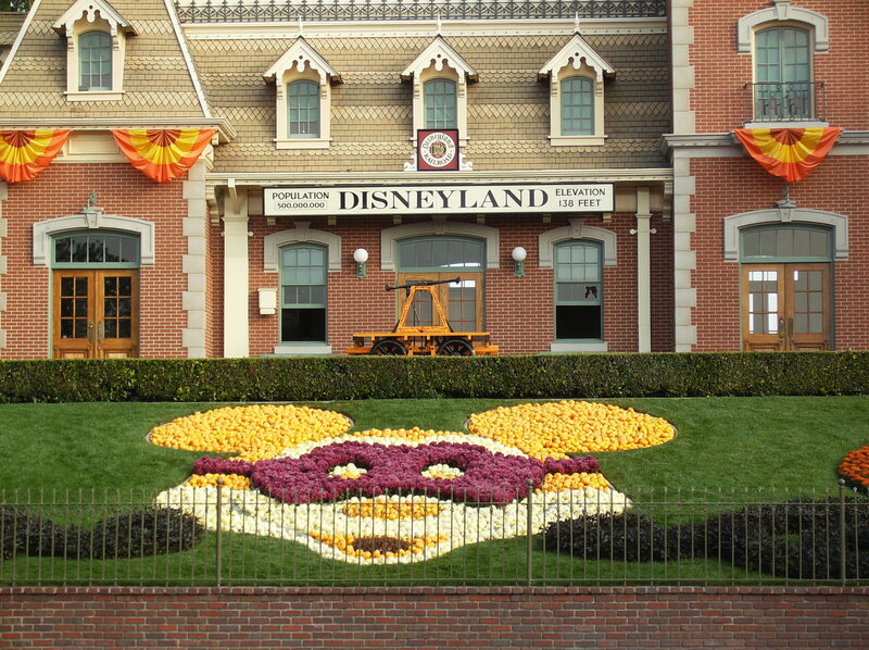 Disneyland entrance with floral display