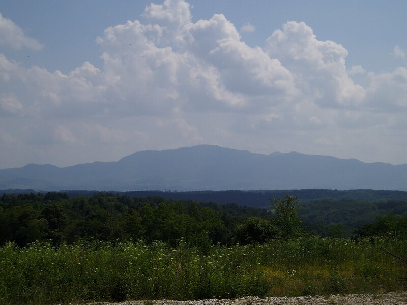 Distant Mountains and Forest