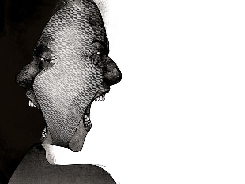 Distorted Face in Profile