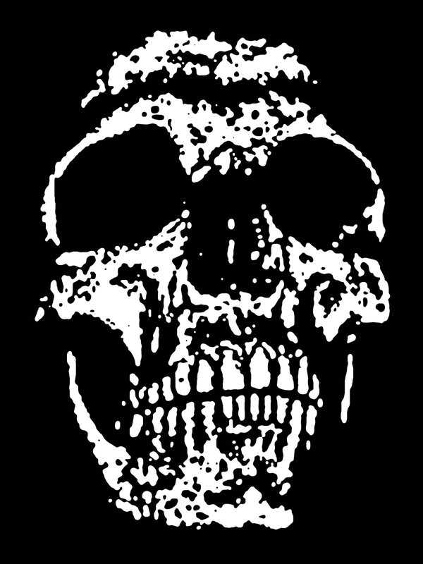 distorted skull illustration