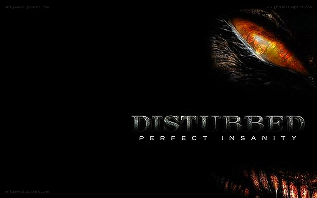 Disturbed Perfect Insanity