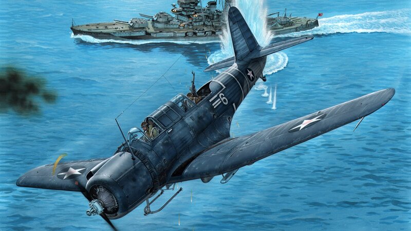 Dive Bomber Aircraft