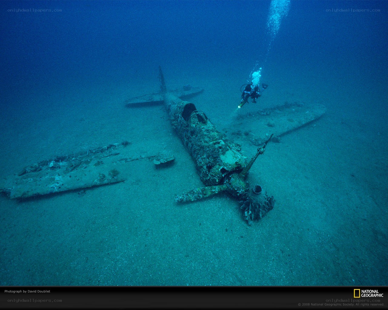 Diver explores plane wreck
