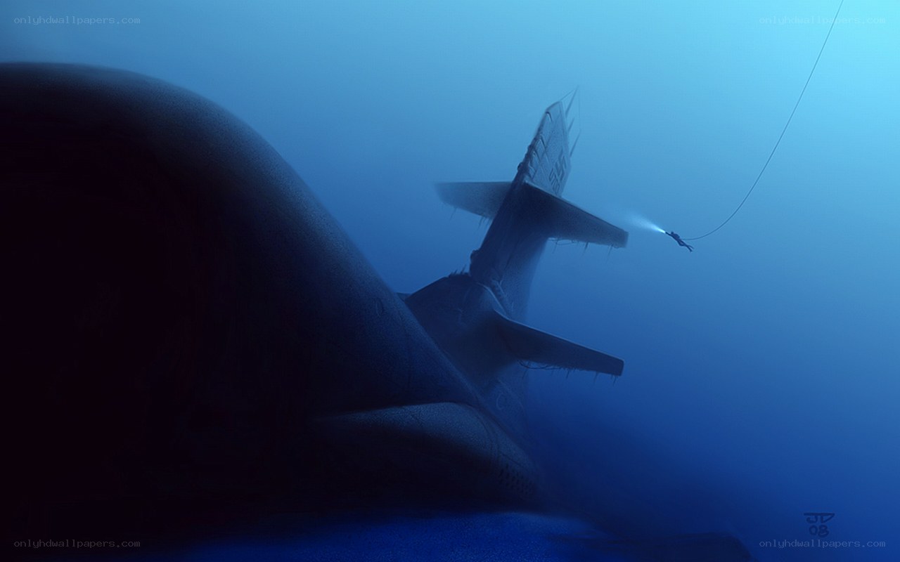 Diver explores sunken plane
