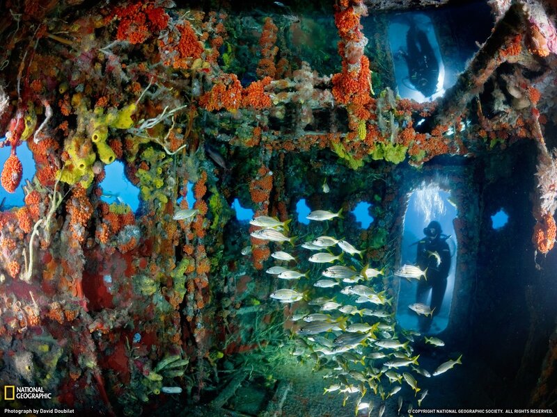 Diver Exploring Shipwreck — Blue, Dramatic
