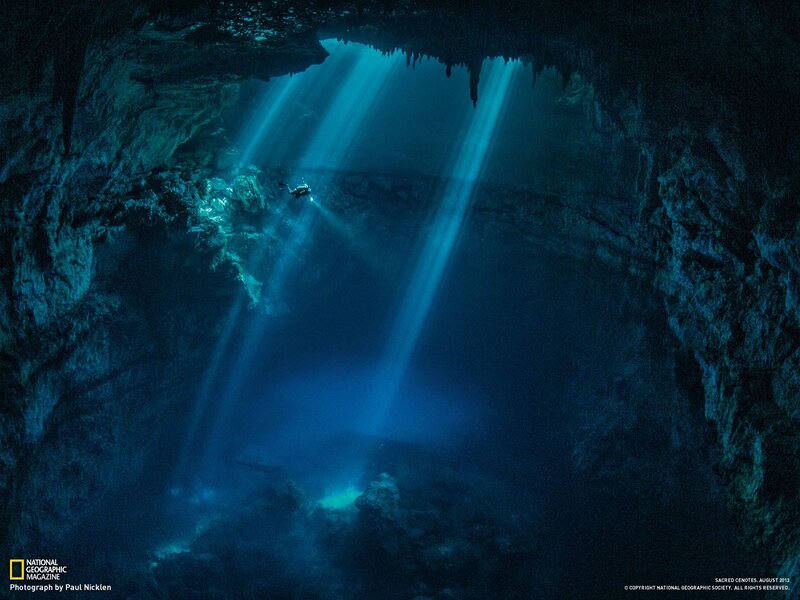 Diver in a cenote