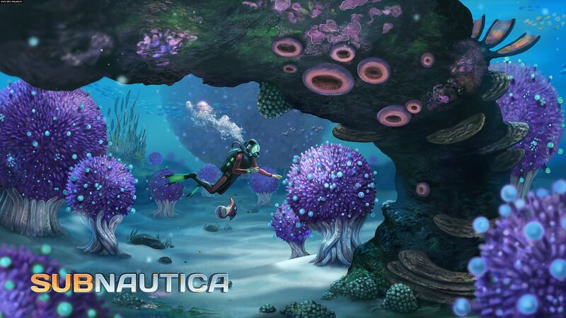 Diver in Coral Cave