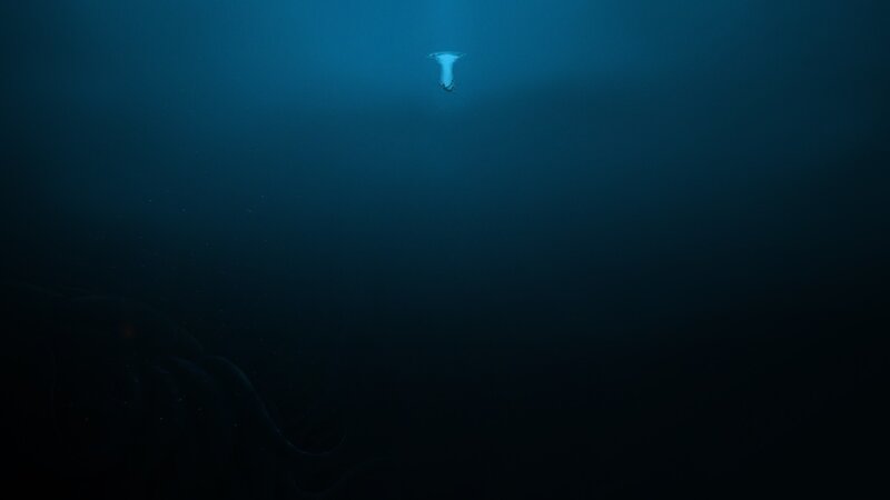 Diver in Deep Water — Blue, Serene