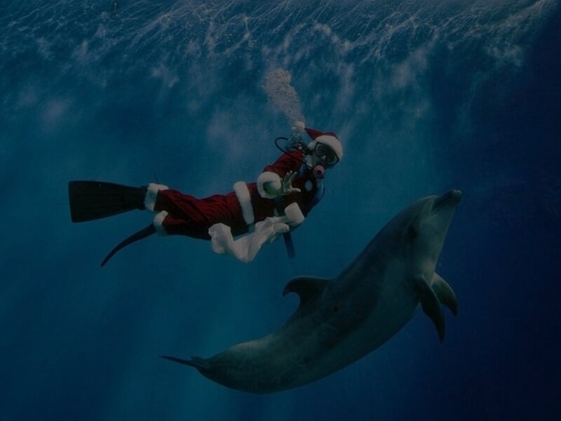Diver in Santa Suit