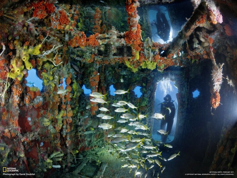 Diver in Shipwreck