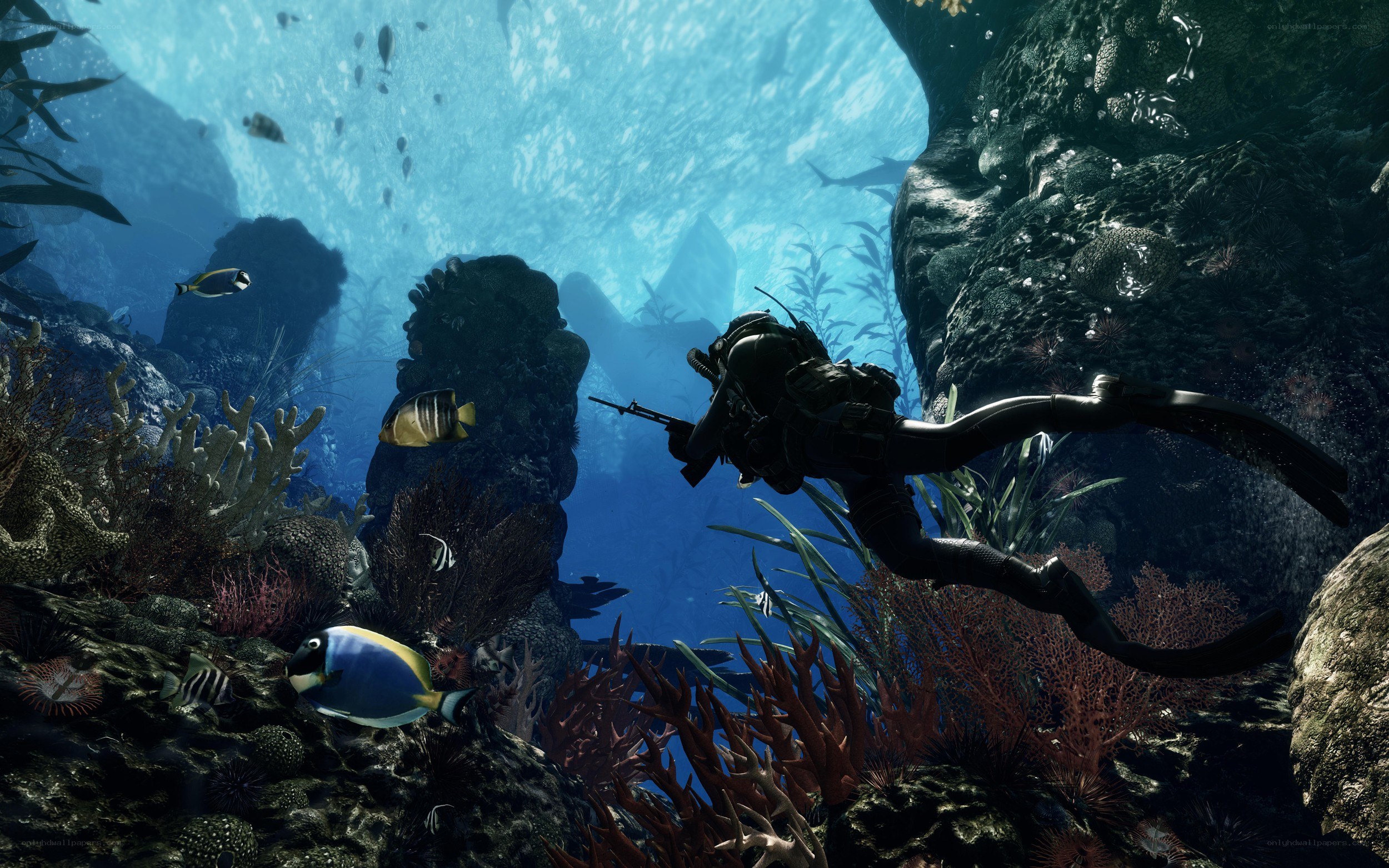 Diver in underwater cave