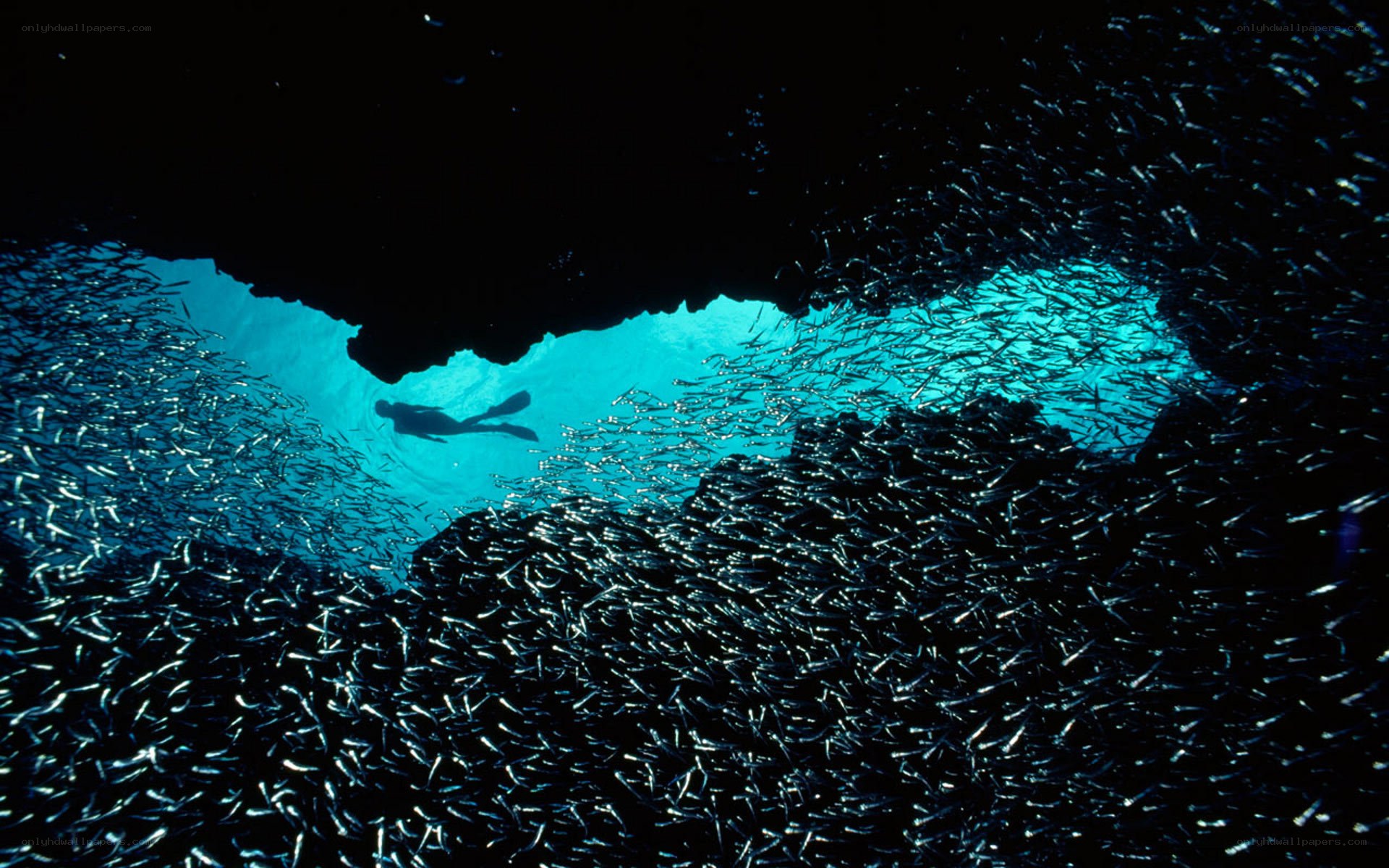 Diver in underwater cave
