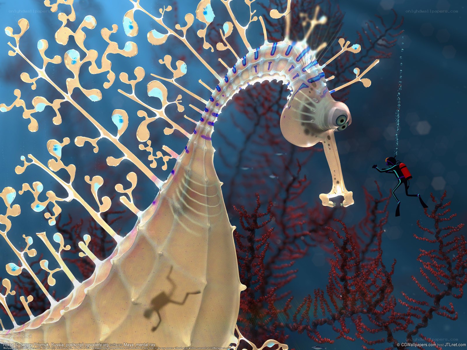 Diver meets seahorse