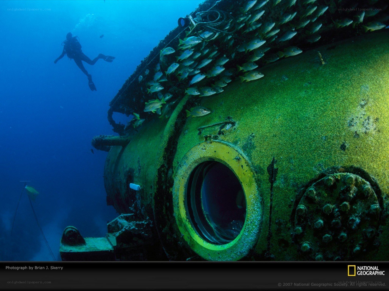 Diver near shipwreck