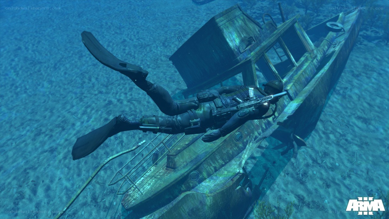 diver near shipwreck