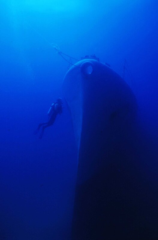 diver near shipwreck