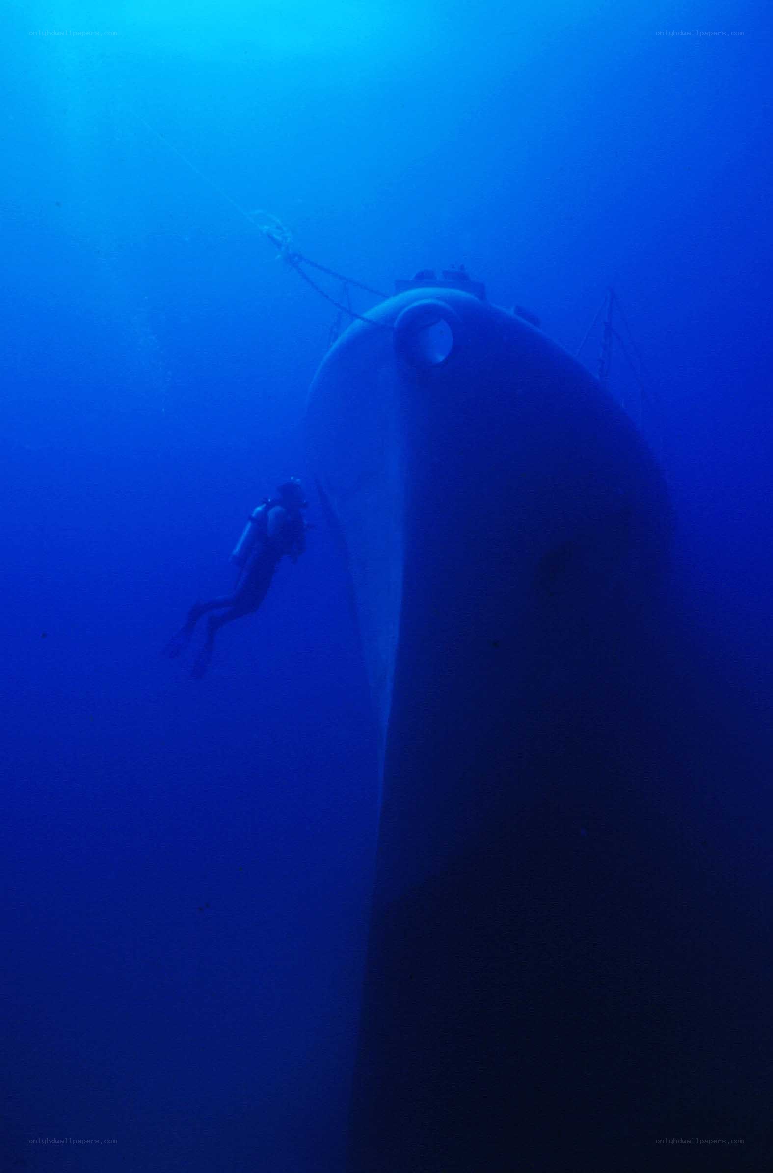 diver near shipwreck