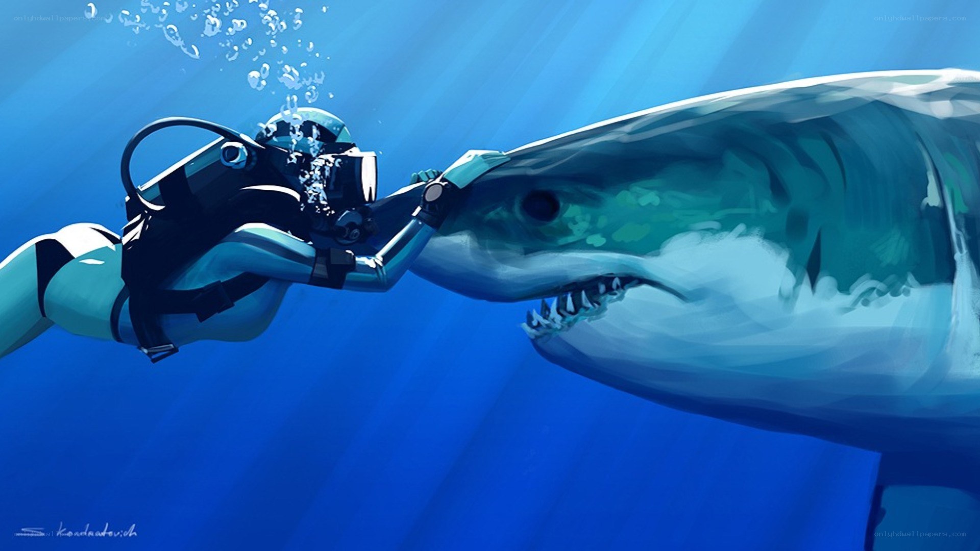 diver with great white shark