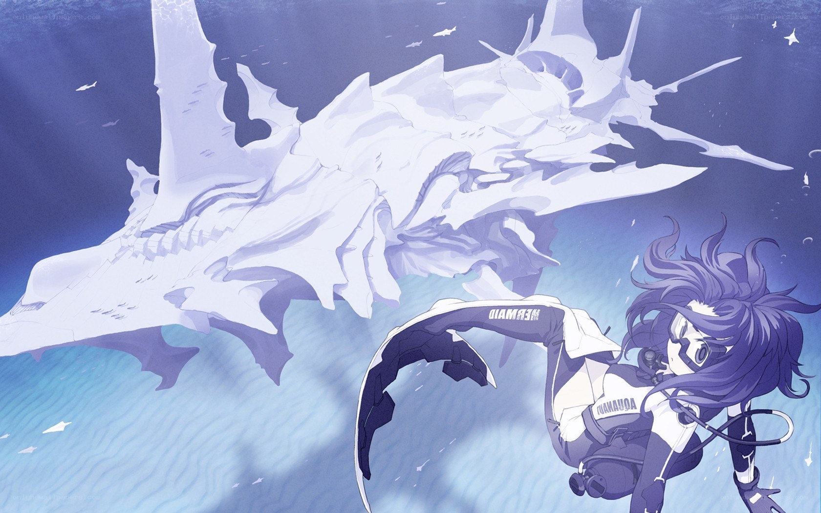diver with sea creature