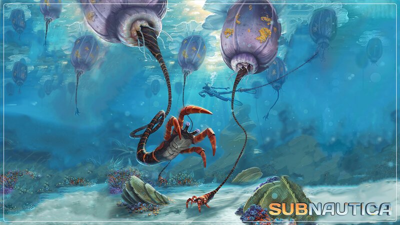 Diver with Sea Creatures