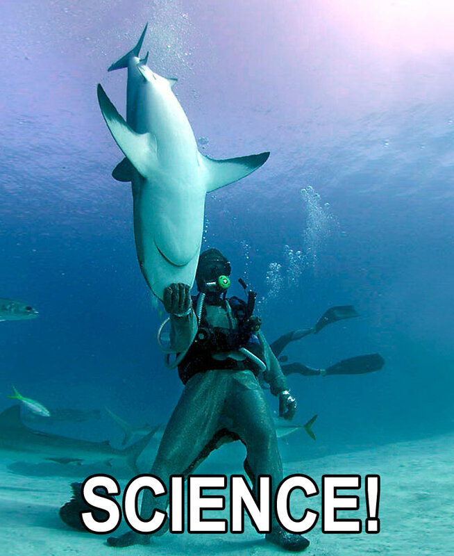 Diver with shark