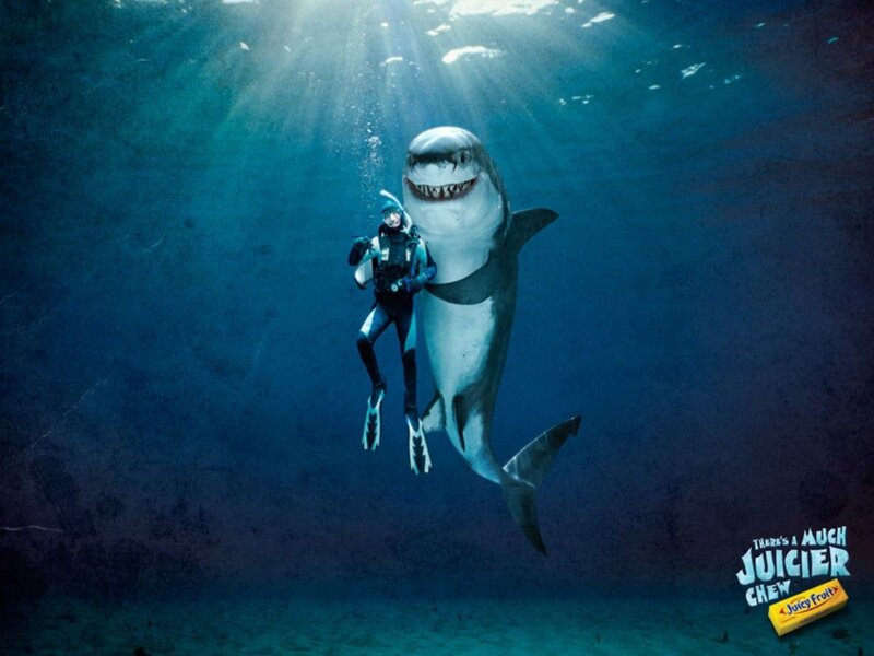 Diver with shark underwater