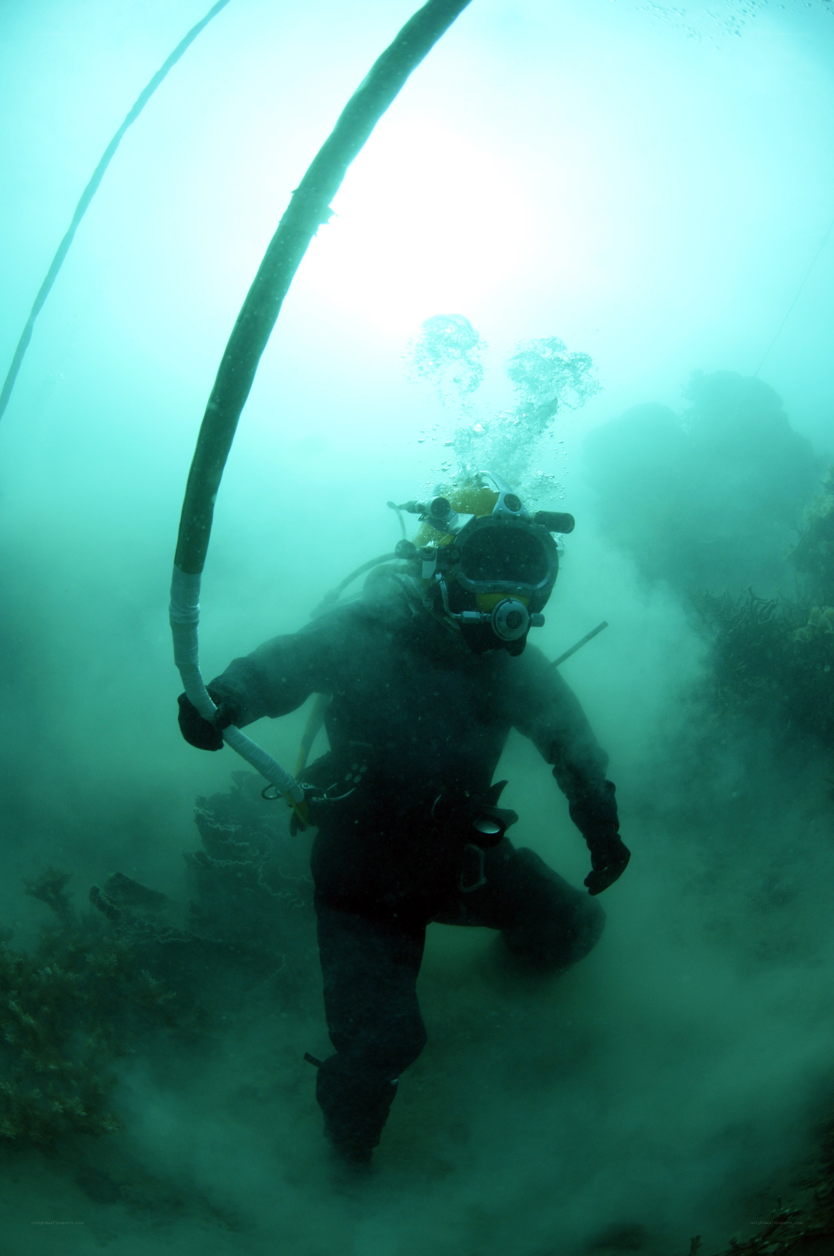 diver with umbilical hose underwater