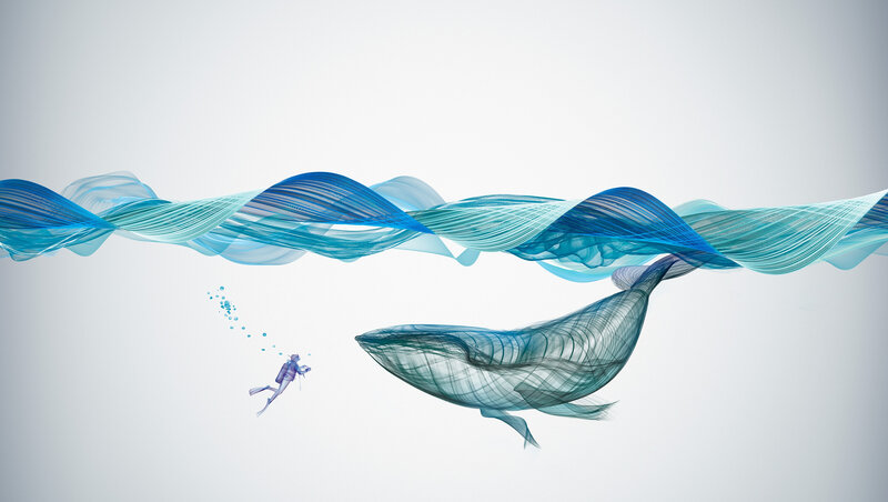 Diver with Whale — Blue, Serene