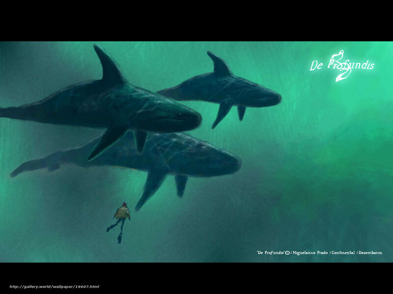 Diver with whales underwater