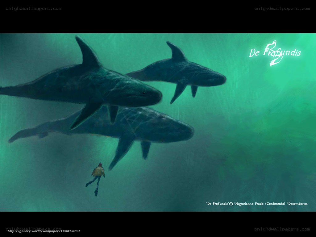 Diver with whales underwater
