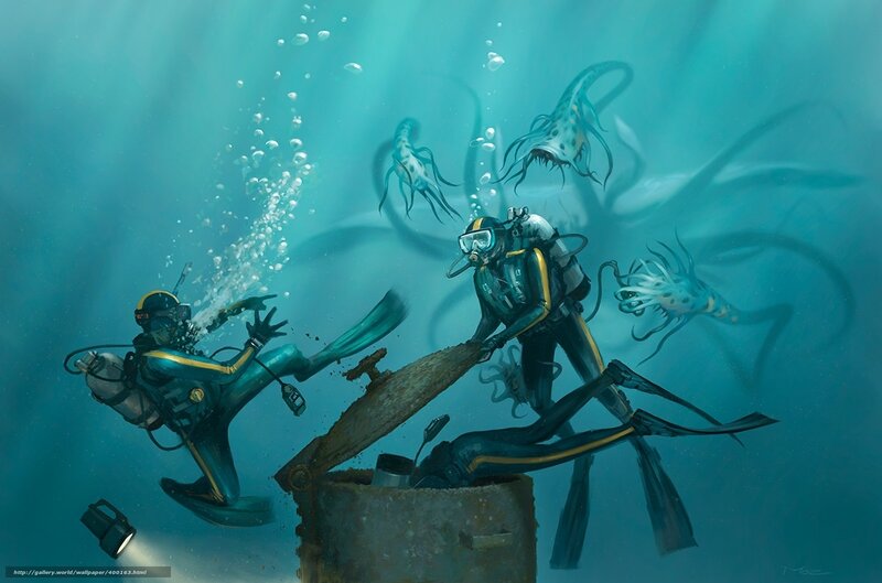 Divers attacked by sea creatures
