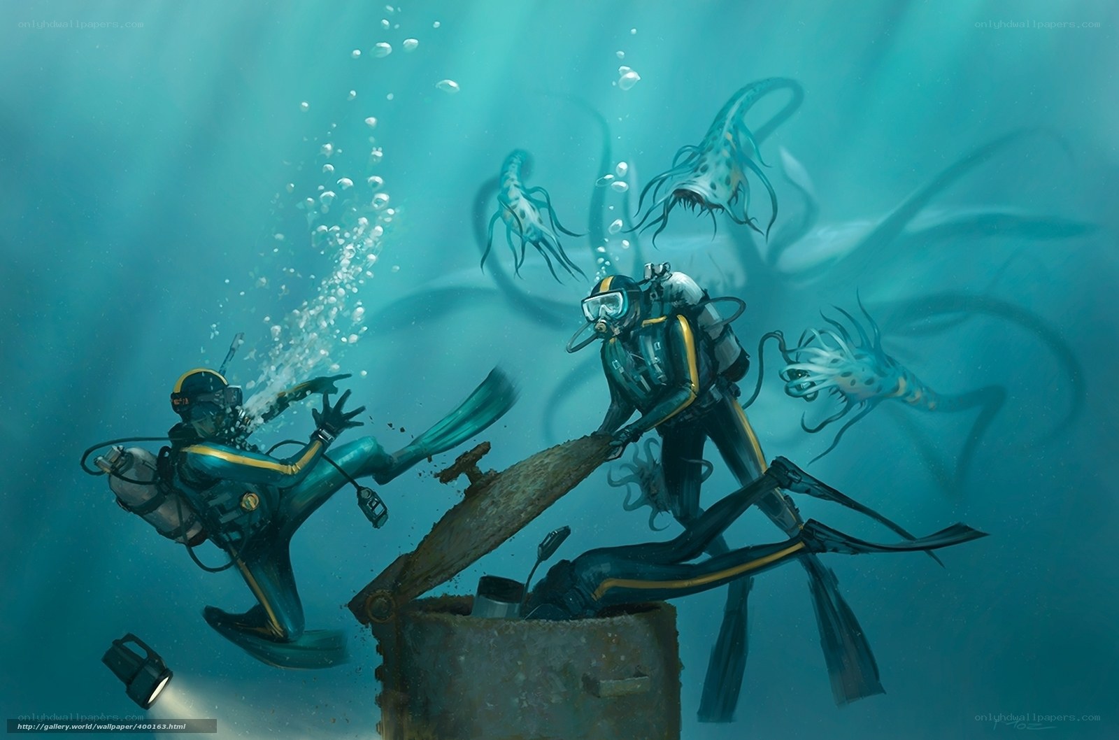 Divers attacked by sea creatures