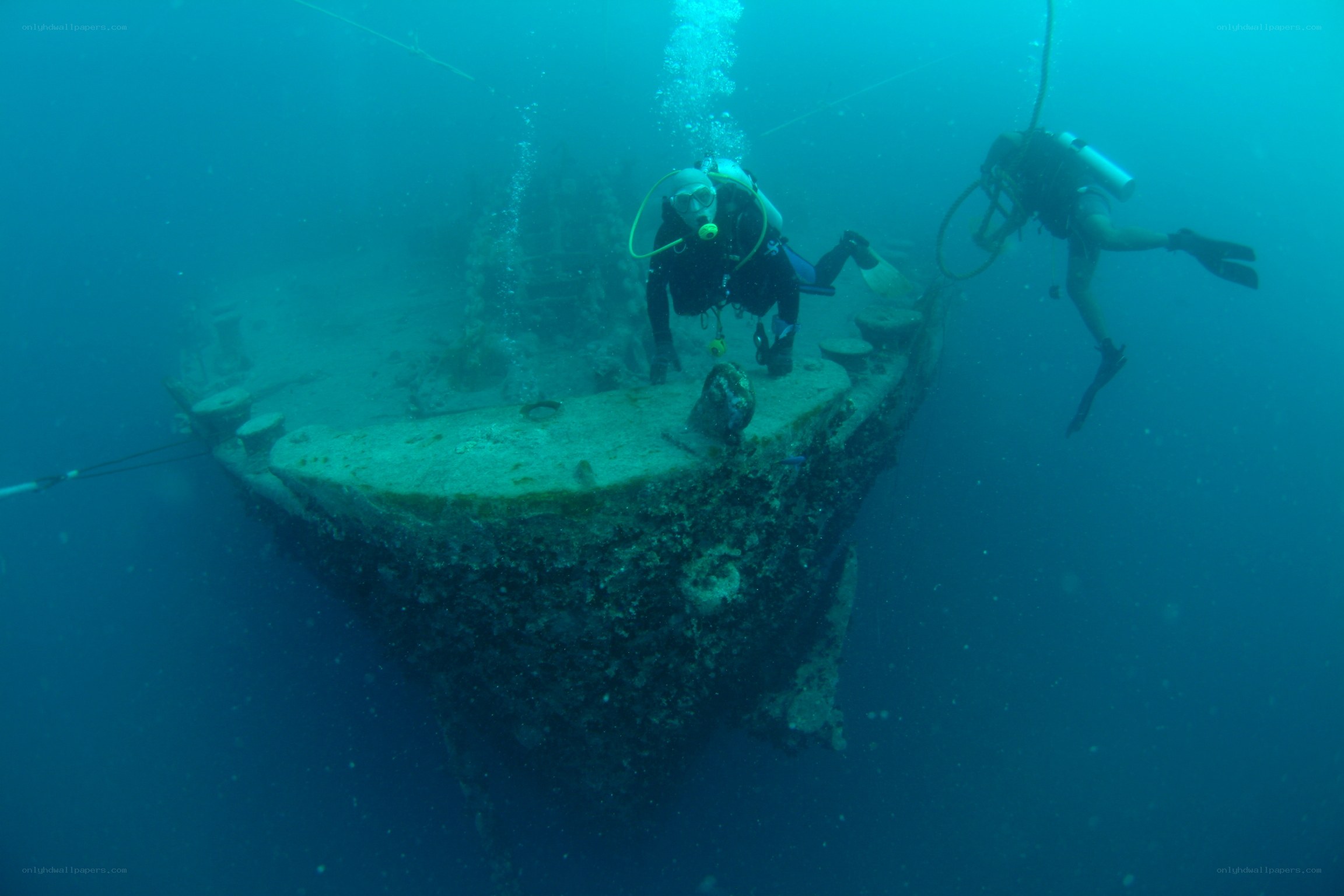 Divers exploring shipwreck