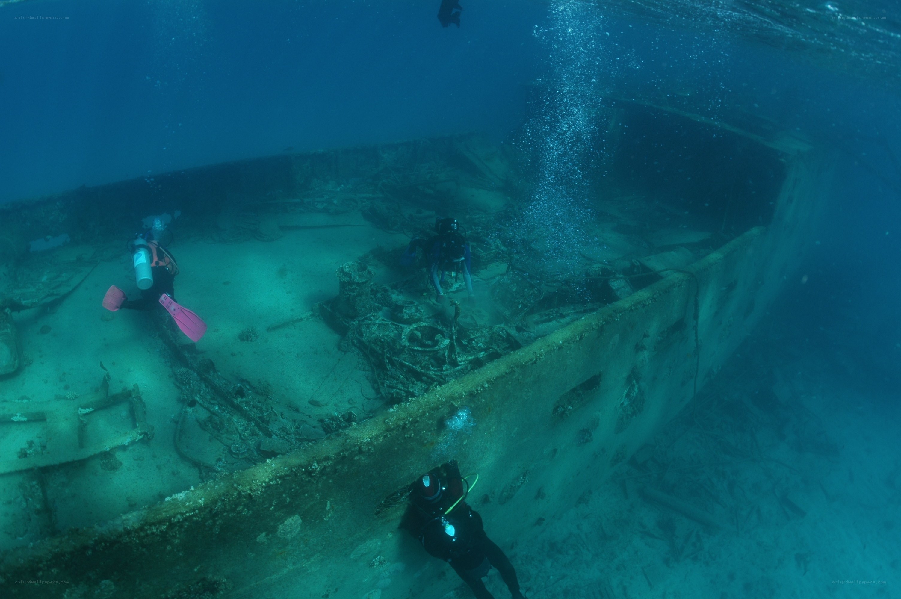 Divers exploring shipwreck