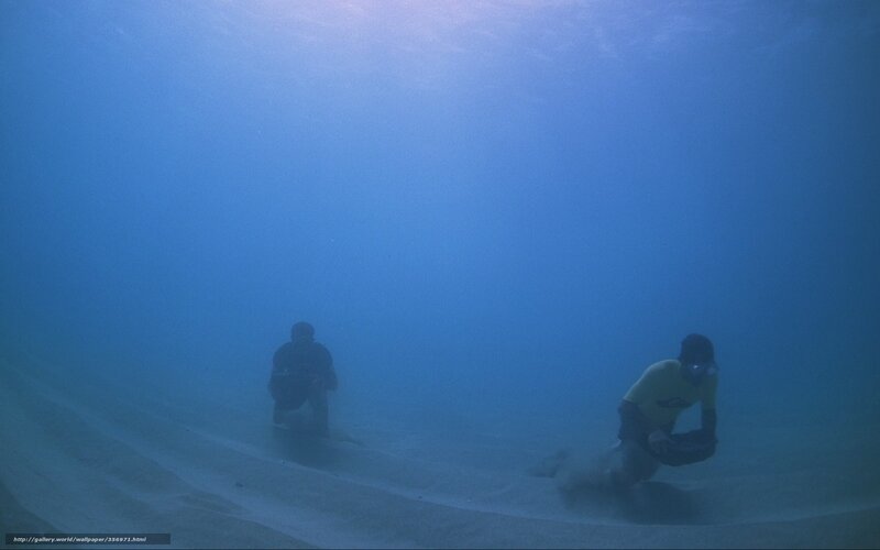 divers exploring underwater