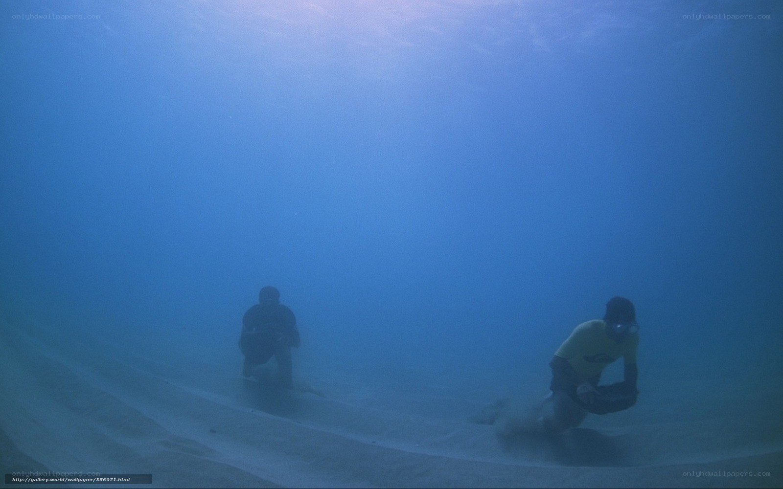divers exploring underwater