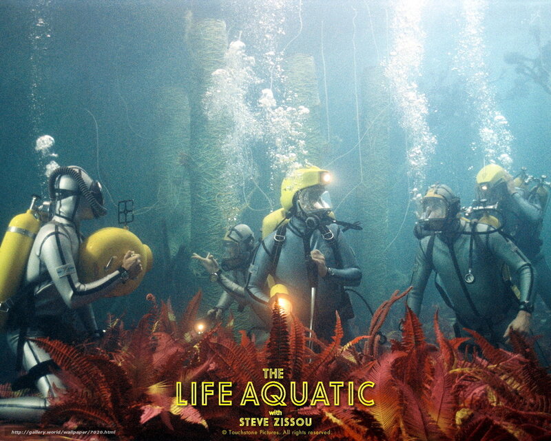 Divers in underwater forest