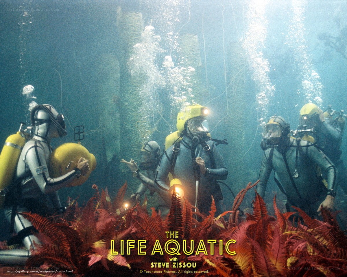 Divers in underwater forest
