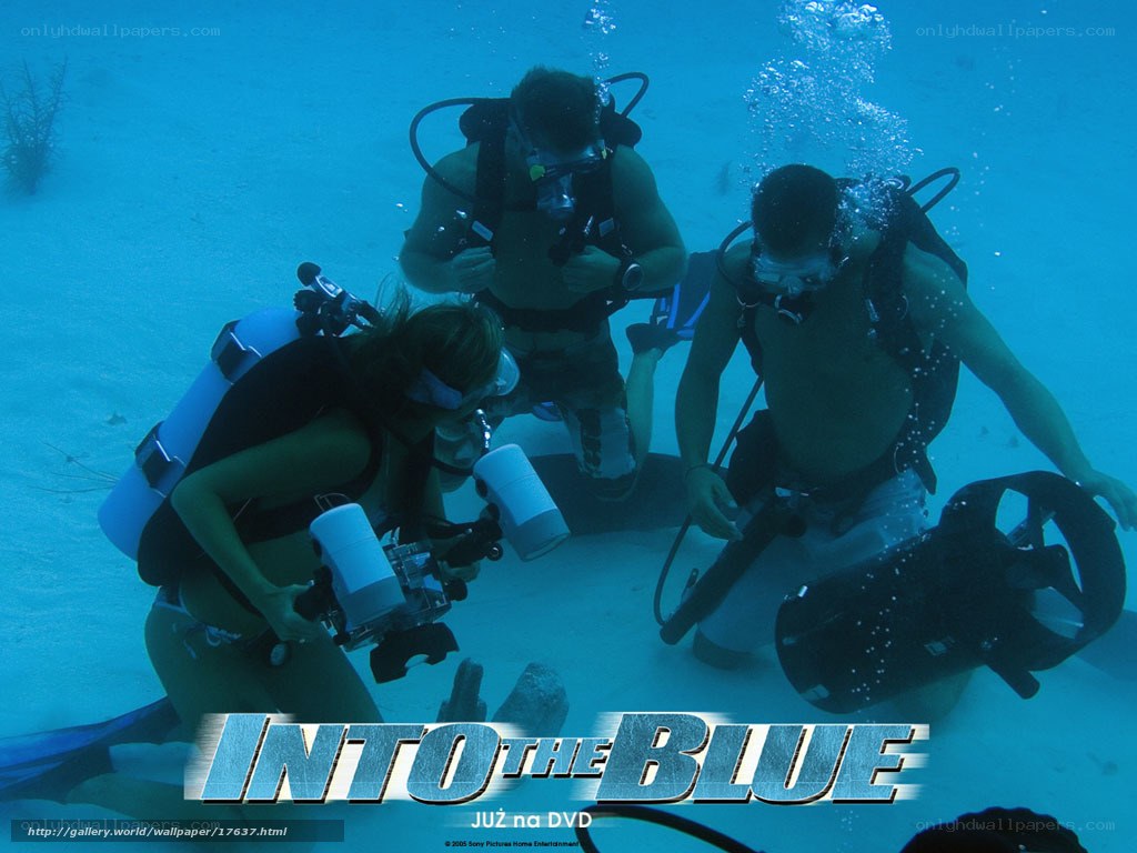 divers underwater in blue