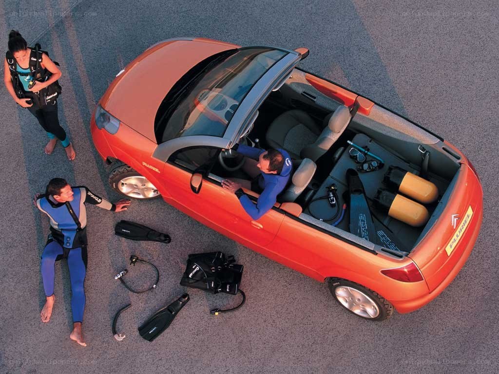 Divers with car and gear
