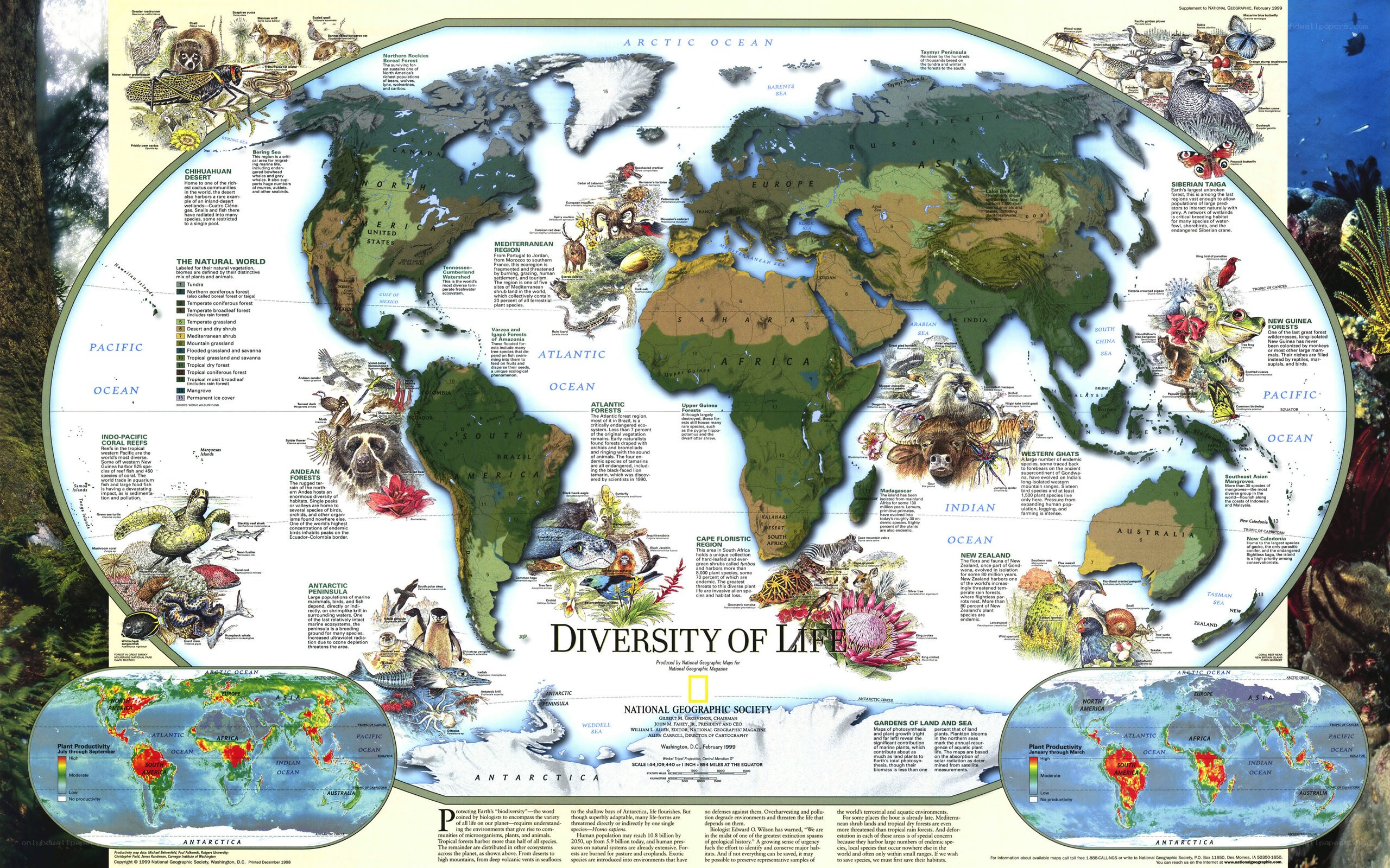 Diversity of Life map