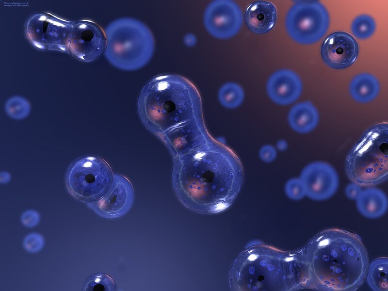 Dividing Cells — Blue, Scientific, Digital Art